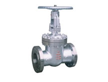 法（fǎ）蘭式電站（zhàn）閘閥（fá）